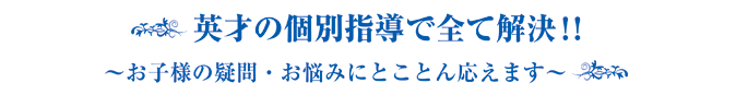 英才の個別指導で全て解決